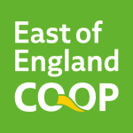 CORP GREEN LOGO 2023